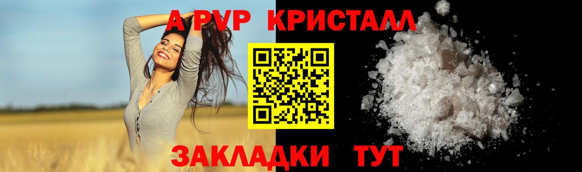 APVP СК Майкоп